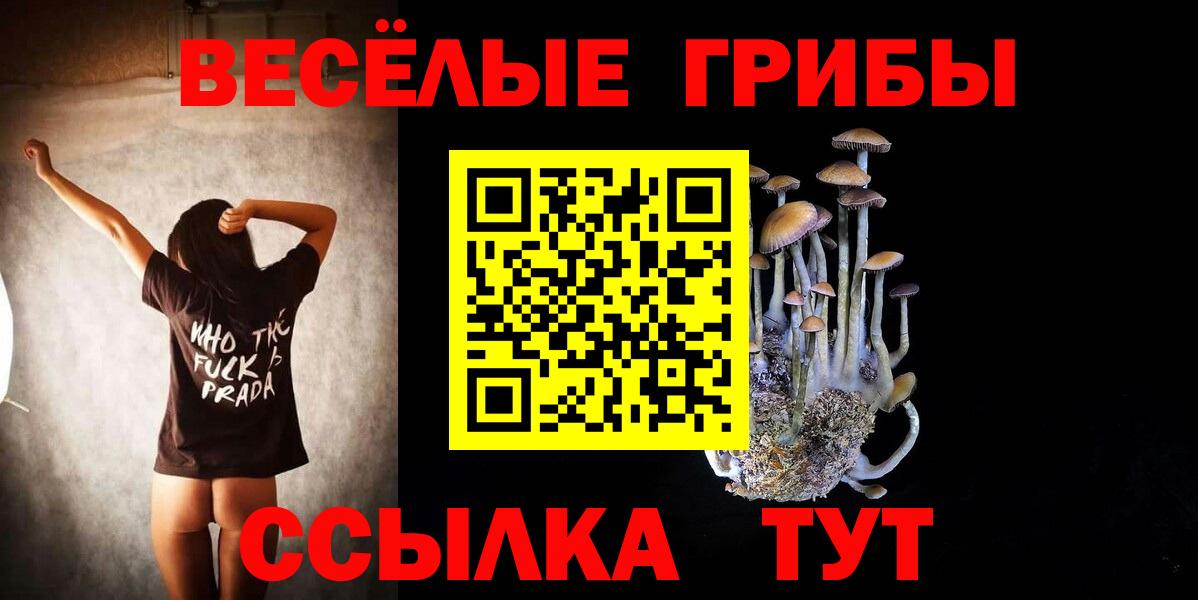 купить наркоту  Галлюциногенные грибы прущие грибы  Вход с VPN  Котовск 